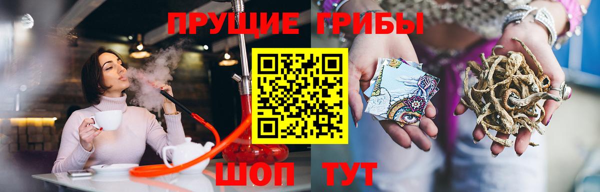 Псилоцибиновые грибы GOLDEN TEACHER Иваново